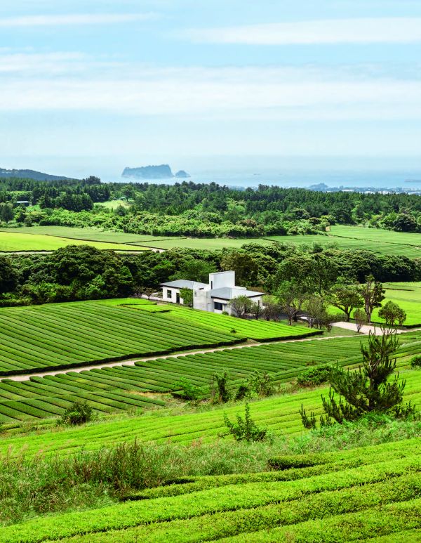 Blue cover of architect monograph on 'One O One – Seoul', by Quart Publishers.