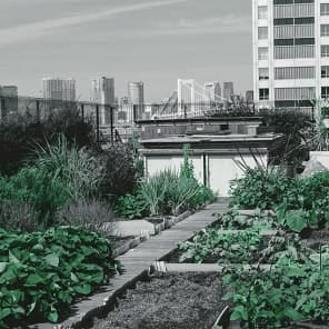 Sketch of head and shoulders, face cut off facing inward to hole in head, on green cover, Thinking Visions for Architectural Design in black font above