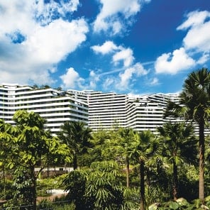 CONTRAST in green and pink font AND in off white font, COHESION in yellow and red font, on white cover