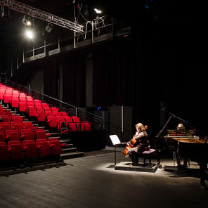 Staggered brick pattern wall, 3 red circles, green shape with 3 humps to bottom, LEVER DE RIDEAU in red bubble font above, top of text sliced off