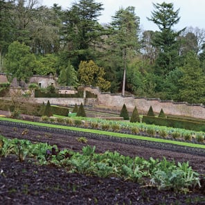 Green English landscape, white cover, Manor Lessons Commons Revisited in black font below.