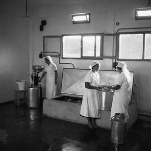 Pale brown cover with Land. Milk. Honey. in white font by Park Books