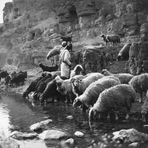 Pale brown cover with Land. Milk. Honey. in white font by Park Books