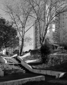 Black and white image of white high rise building complex surrounded by large trees with Hidden in Plain Sight in light orange font