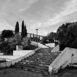 Black and white image of white high rise building complex surrounded by large trees with Hidden in Plain Sight in light orange font