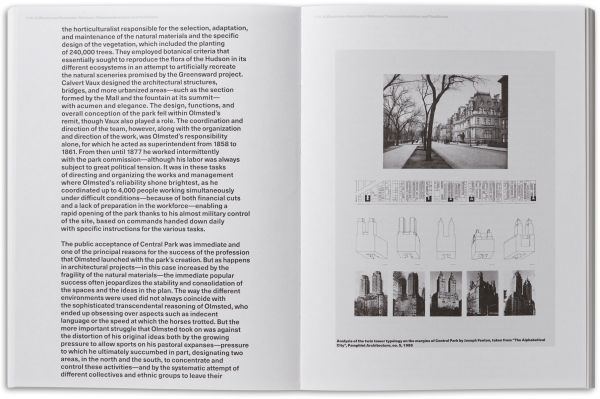 Book cover of Absolute Beginners. Published by Park Books.