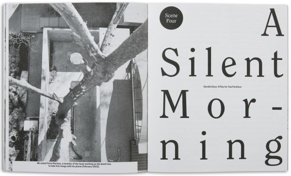 Book cover of Neighbours, A Manifesto, a Play for Two Pavilions, and Ten Conversations'. Published by Park Books.