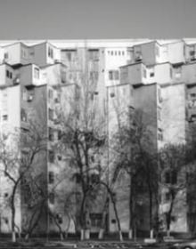 Book cover of Typology: Tashkent, Genoa, Tbilisi, Casablanca. Review No. IV. Published by Park Books.