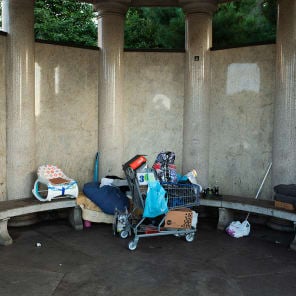 Book cover of The Roofless Truth: Planning and Architecture for Homelessness. Published by Park Books.
