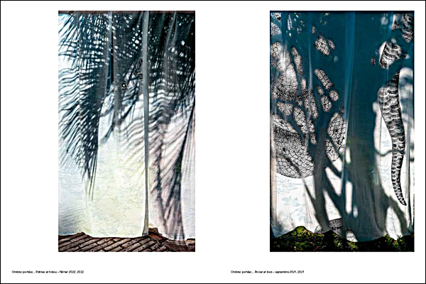 Book cover of Le tremblement des certitudes. Published by Scheidegger & Spiess.