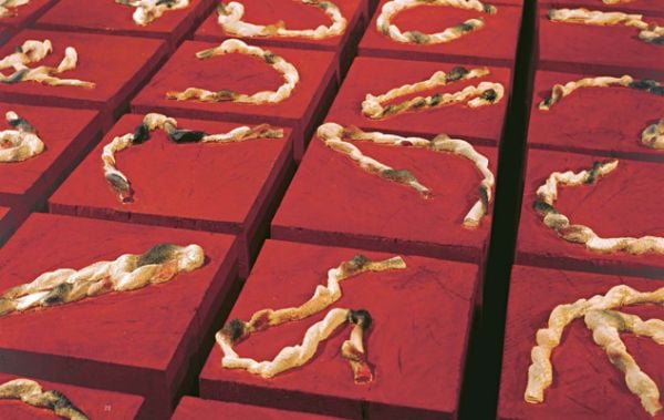 Book cover of 'Rochus Lussi—Thin Skin, Works 1992–2023'. Published by Scheidegger & Spiess.