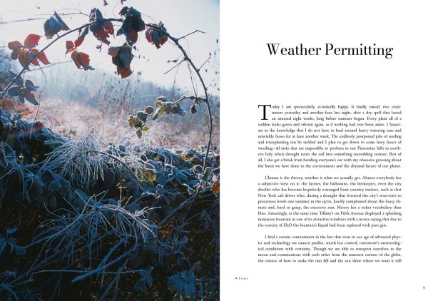 Book cover of Green Thoughts and Memories, with pansy and viola flowerheads on top of a floral cover. Published by Scheidegger & Spiess.