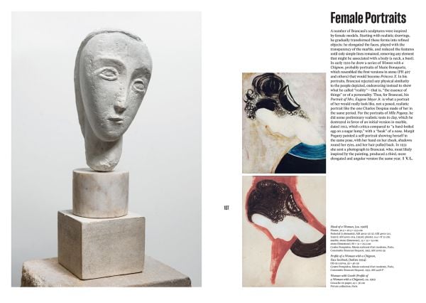 Book cover of Brancusi, with a modern sculpture titled Le Coq, 1924. Published by Scheidegger & Spiess.