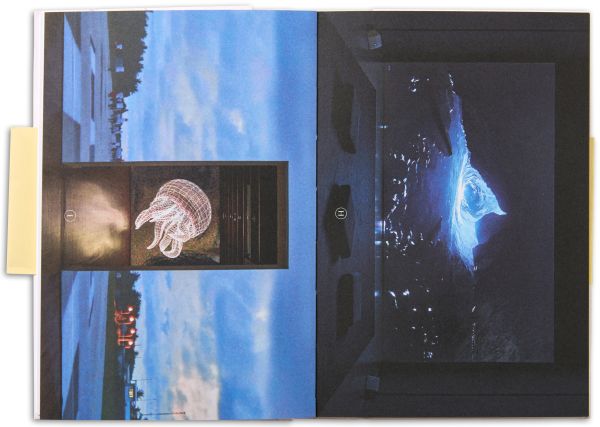 Book cover of Pauline Julier: Inscribing Images on the Collective Retina. Published by Scheidegger & Spiess.