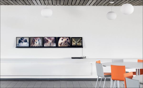 Book cover of The Ricola Collection: The Ricola Collection Present and Past, featuring an office space with marble staircase. Published by Scheidegger & Spiess.