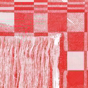 Book cover of The Tea Towel: Perspectives on an Everyday Item. Published by Scheidegger & Spiess.