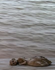 Book cover of Leiko Ikemura: The Sea in the Mountains; featuring a painting of mountains. Published by Scheidegger & Spiess.