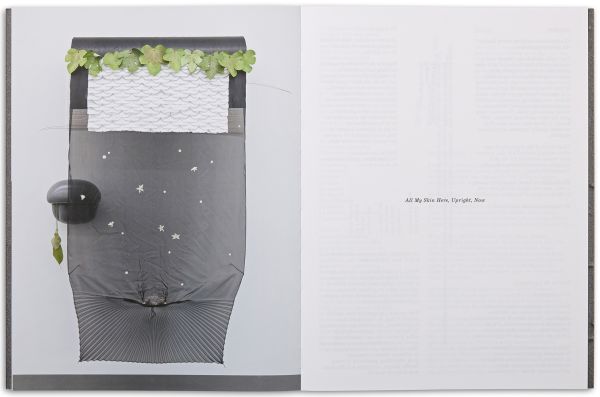 Book cover of Maude Léonard-Contant: Gathering. Published by Scheidegger & Spiess.