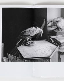 Book cover of Lorenzo Castore's 2001-2007: Lack & Longing. Published by L'Artiere.