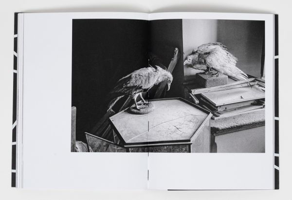 Book cover of Lorenzo Castore's 2001-2007: Lack & Longing. Published by L'Artiere.