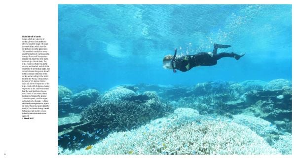 Green filtered photo montage of Greenpeace activists, on cover of 'Greenpeace Views, 50 Years Fighting for a Better Planet', by Delius Klasing Verlag GmbH.