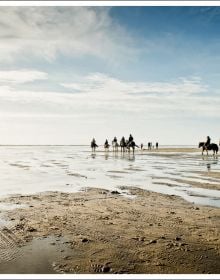 Book cover of Curves: Germany's Coastline | Denmark, with a an aerial view of the German coastline with sandy beach. Published by Delius.