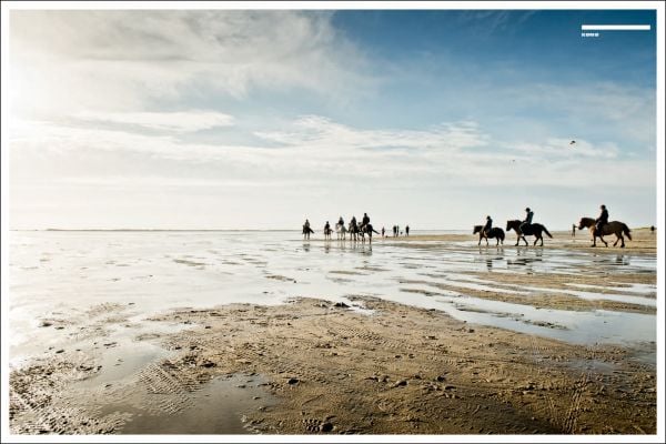Book cover of Curves: Germany's Coastline | Denmark, with a an aerial view of the German coastline with sandy beach. Published by Delius.