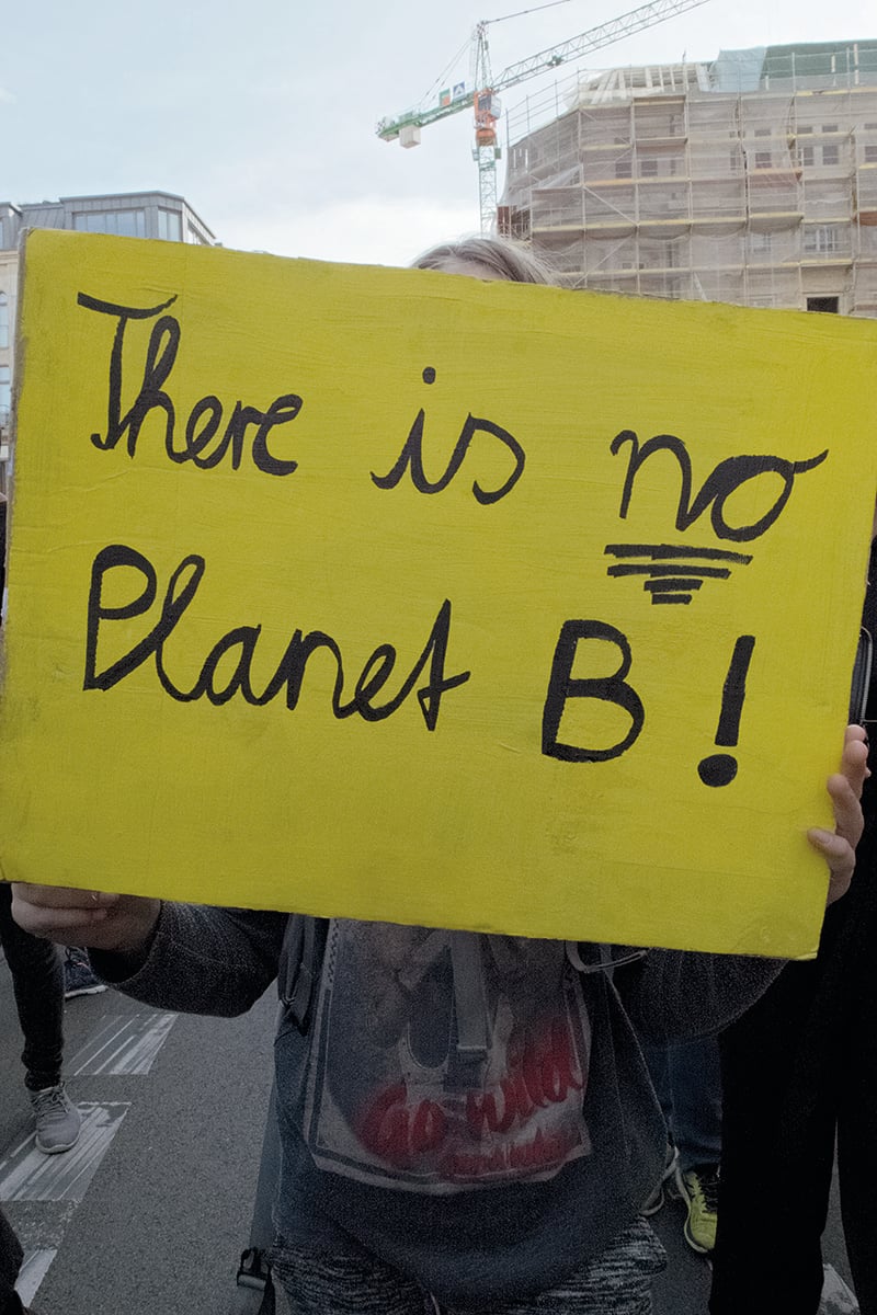 View of back of climate change protestors holding placards for Fridays for Future, WIR SIND HIER SIND LAUT FRIDAYS FOR FUTURE in red font across cover.