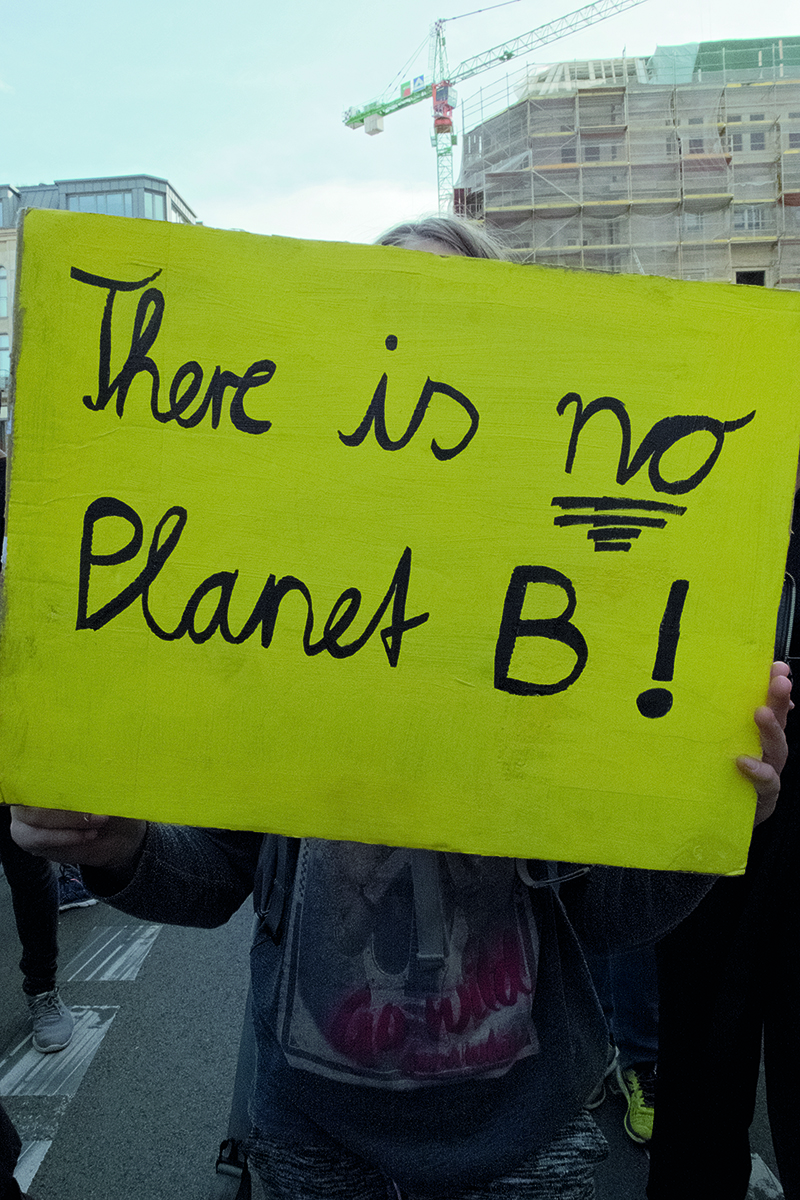 View of back of climate change protestors holding placards for Fridays for Future, WIR SIND HIER SIND LAUT FRIDAYS FOR FUTURE in red font across cover.