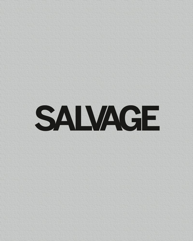 Book cover of Jackie Nickerson: Salvage. Published by Silvana.