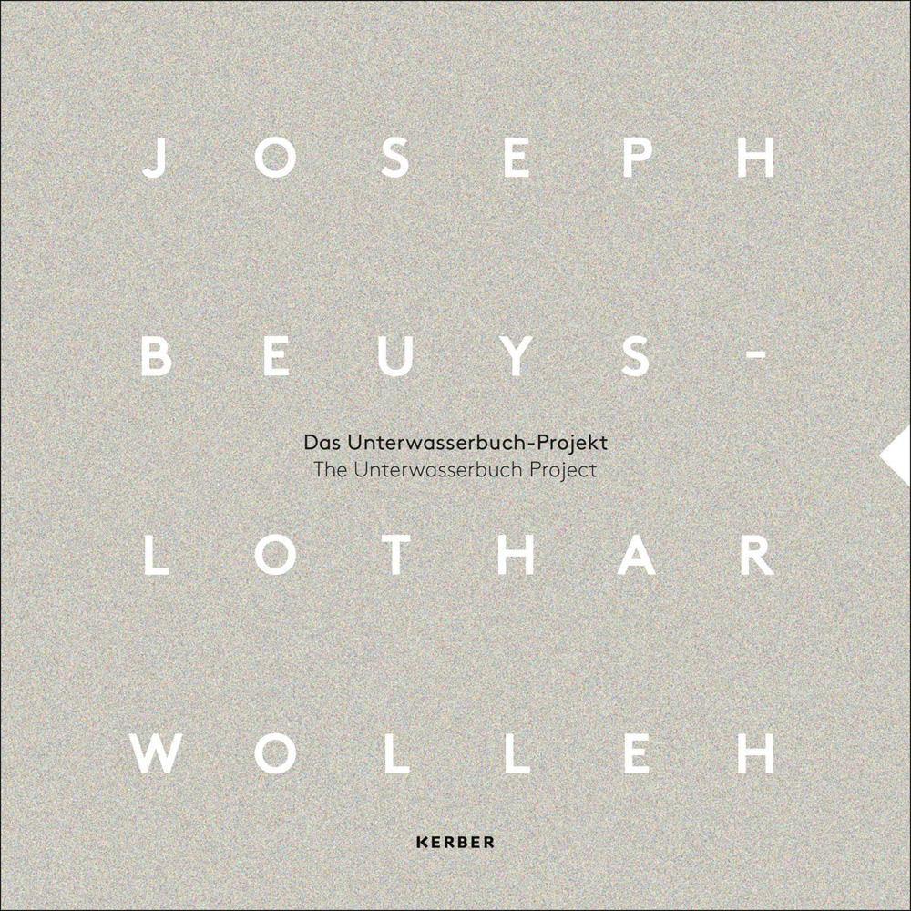 Mottled grey cover with Joseph Beuys - Lothar Wolleh in white font and The Unterwasserbuch Project in black font