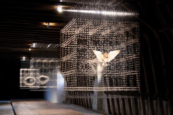 現代彫刻家　Claire Morgan 展示会ポスター　インテリア 現代彫刻家 Claire Morgan 展示会ポスター インテリア