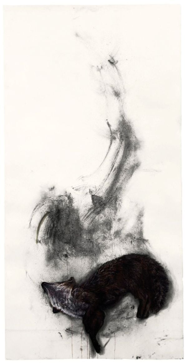 Claire Morgan - ACC Art Books UK