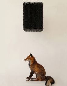 Stuffed head of ginger fox looking vertically up with mouth open and black feather-like material shooting out with Claire Morgan Joy in the Pain in white font
