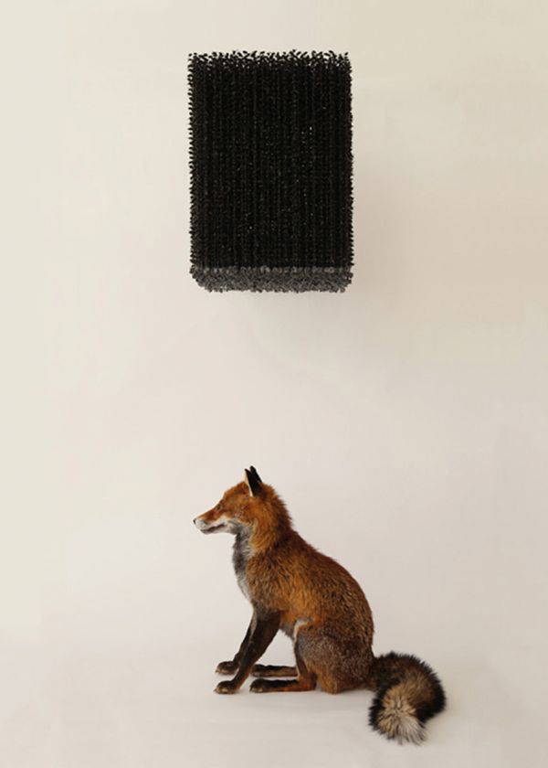 Stuffed head of ginger fox looking vertically up with mouth open and black feather-like material shooting out with Claire Morgan Joy in the Pain in white font