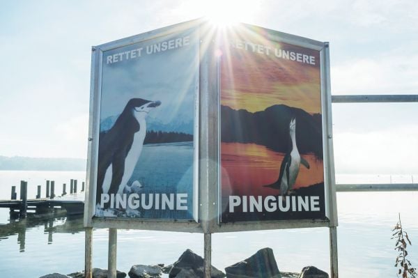 Book cover of Sebastian Jung: Bio Bio SUV, with a sketch of person sticking large tongue out, flat cardboard car shape against tree. Published by Kerber.