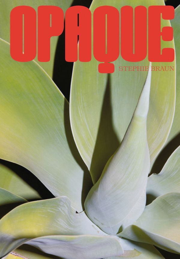 Book cover of Stephie Braun: OPAQUE, with a close up of desert artichoke. Published by Kerber.