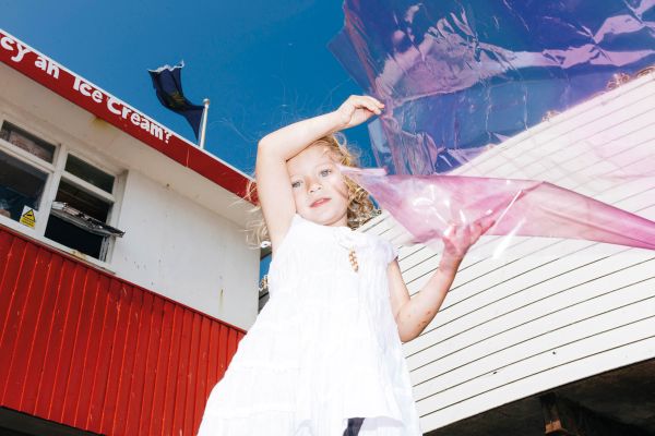 Book cover of Stephie Braun: OPAQUE, with a close up of desert artichoke. Published by Kerber.