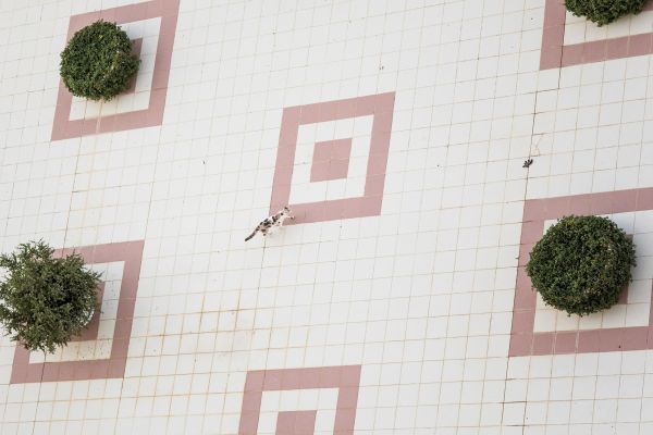 Book cover of Verna Kovanen: Broken Holiday Album. Published by Kerber.