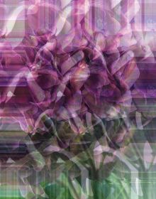 Book cover of Felix Dobbert: Floral Works, with white and blue hydrangea flowers. Published by Kerber.