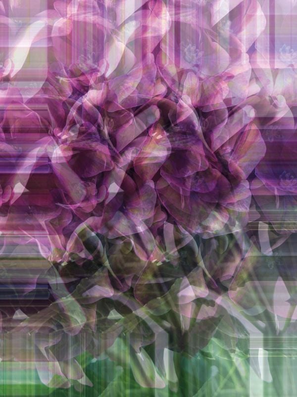 Book cover of Felix Dobbert: Floral Works, with white and blue hydrangea flowers. Published by Kerber.