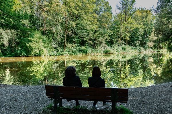 Book cover of Wolfgang Strassl, Arcadian Sketchbook, with a green tree with reflections on river. Published by Kerber.