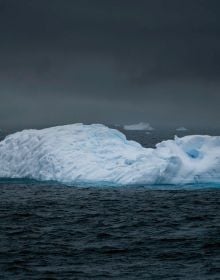 Two large icebergs floating on water in Antarctica, TOM NAGY, SOLITAIRE, in white font above.