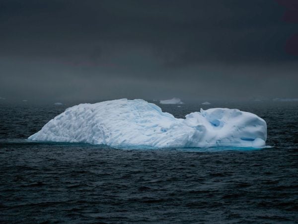 Book cover of Tom Nagy: SOLITAIRE: Faces of Antarctica, with two large icebergs floating on water in Antarctica. Published by Kerber.