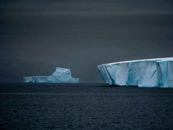 Book cover of Tom Nagy: SOLITAIRE: Faces of Antarctica, with two large icebergs floating on water in Antarctica. Published by Kerber.