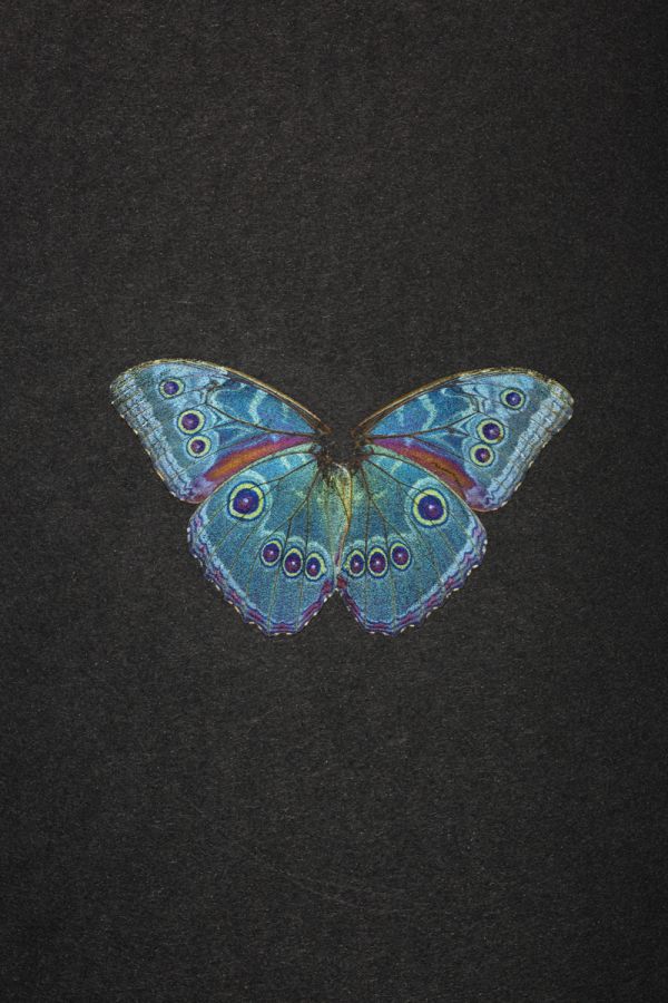 Black cover of Maximilian Prüfer, Inwelt' with white dot and curved lines. Published by Kerber.