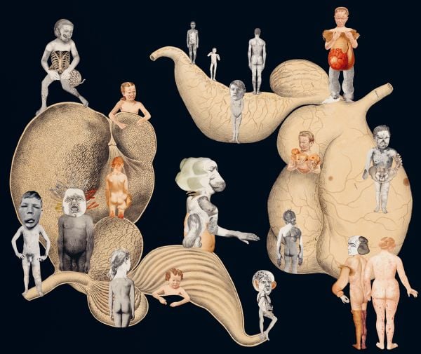 Terracotta sculpture of spiky ball with flower-like head, on cover of 'Ines Doujak, Nichtsdestoweniger. Nevertheless', by Kerber.