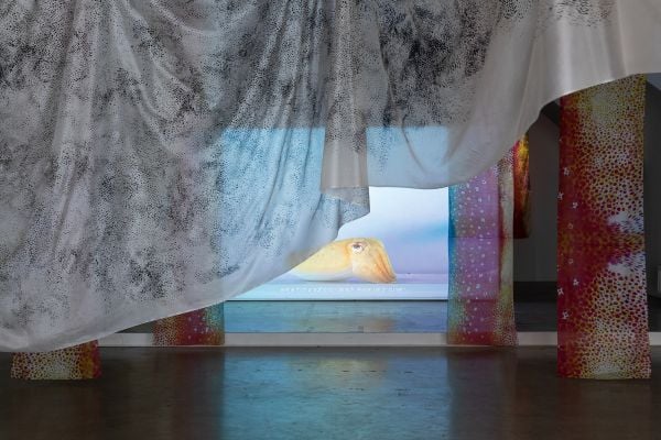 Repeated slide of pair of eyes, on mustard yellow cover of 'MOMENTA Biennale de l’image, Masquerades: Drawn to Metamorphosis', by Kerber.