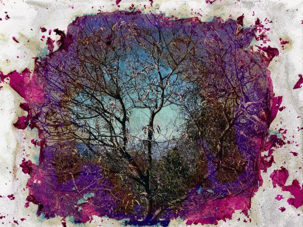 Bright blue abstract shape, on cover of 'Doug Fogelson 2012-2022, Chemical Alterations', by Kerber.