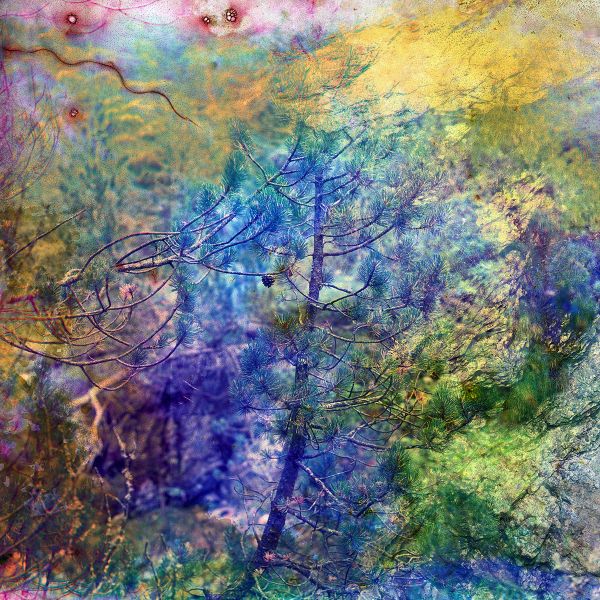 Bright blue abstract shape, on cover of 'Doug Fogelson 2012-2022, Chemical Alterations', by Kerber.